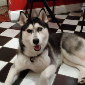 Meet your Posher, Thanh